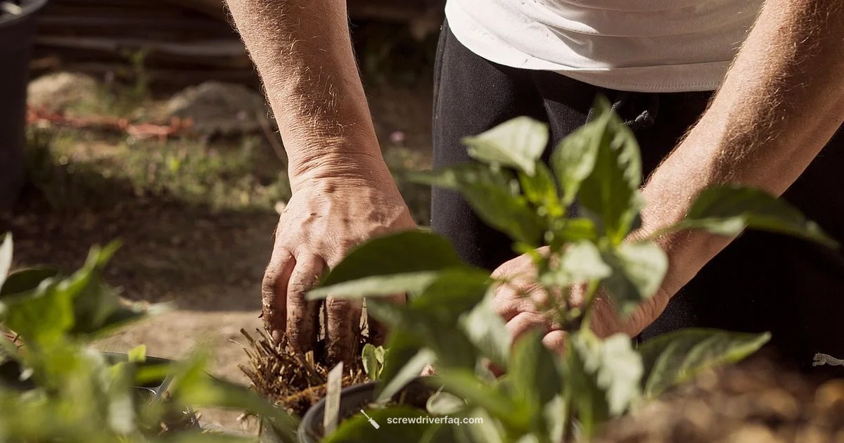 Soil Moisture Test - Screwdriver FAQ