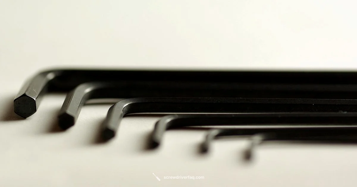 Hex vs Allen Hex vs Allen - Screwdriver FAQ