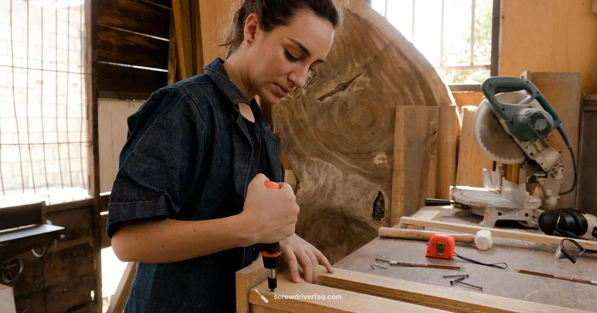 Dewalt Bits Lineup - Screwdriver FAQ