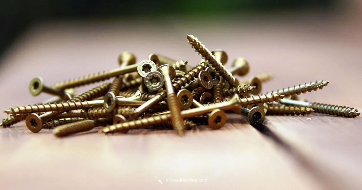 Dewalt Screw Guide - Screwdriver FAQ