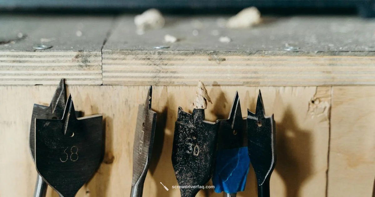 Bit Variety Guide - Screwdriver FAQ