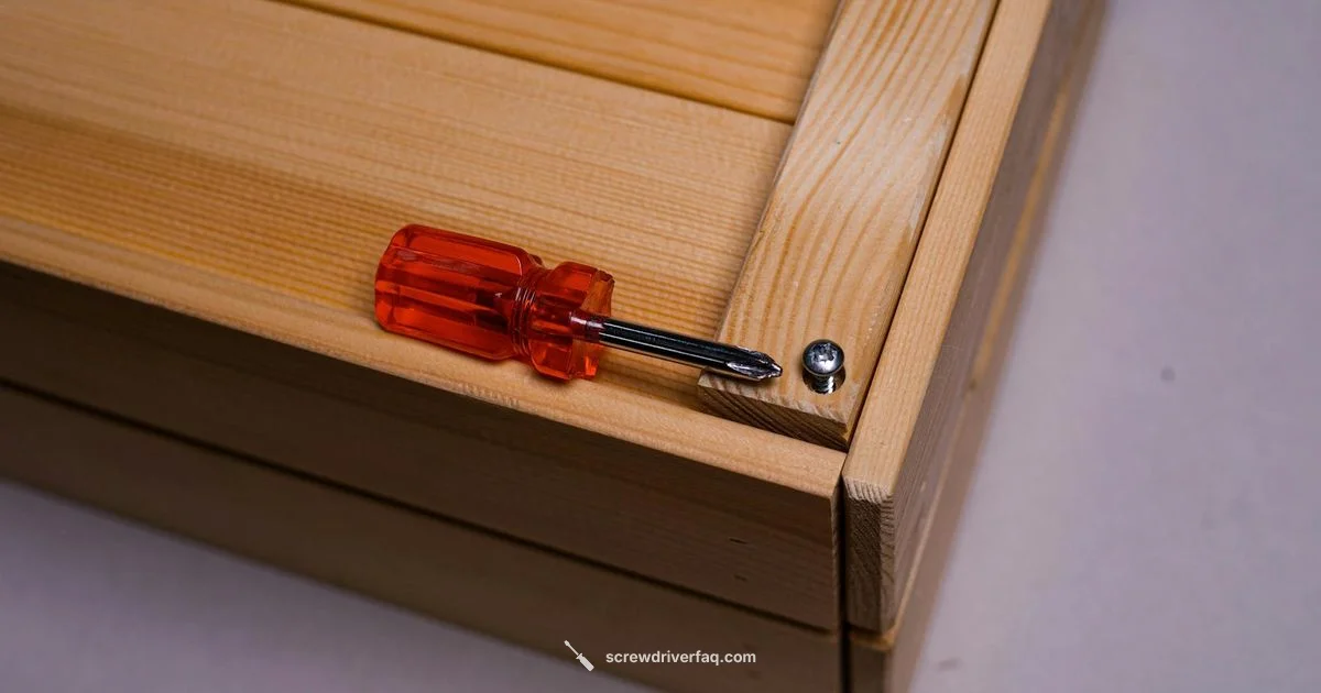 Screwdriver Essentials Screwdriver Essentials - Screwdriver FAQ