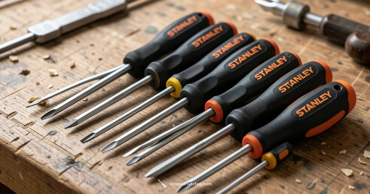 Stanley at Bunnings - Screwdriver FAQ
