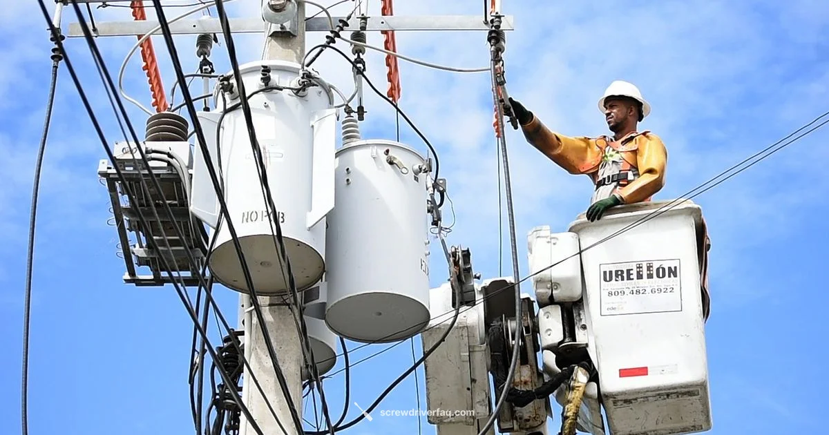 Torque Picks Guide Torque Picks Guide - Screwdriver FAQ