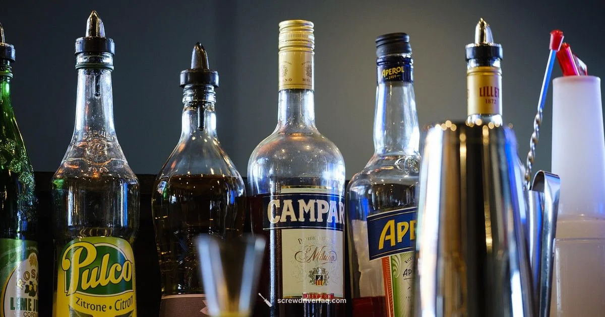 Screwdriver Showdown - Screwdriver FAQ