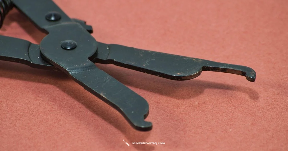 Screwdriver Alternatives - Screwdriver FAQ