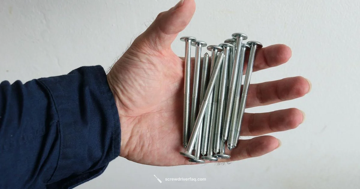 Torque Screwdriver Guide - Screwdriver FAQ