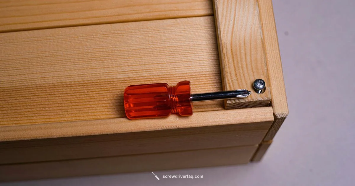 Screwdriver Etymology - Screwdriver FAQ