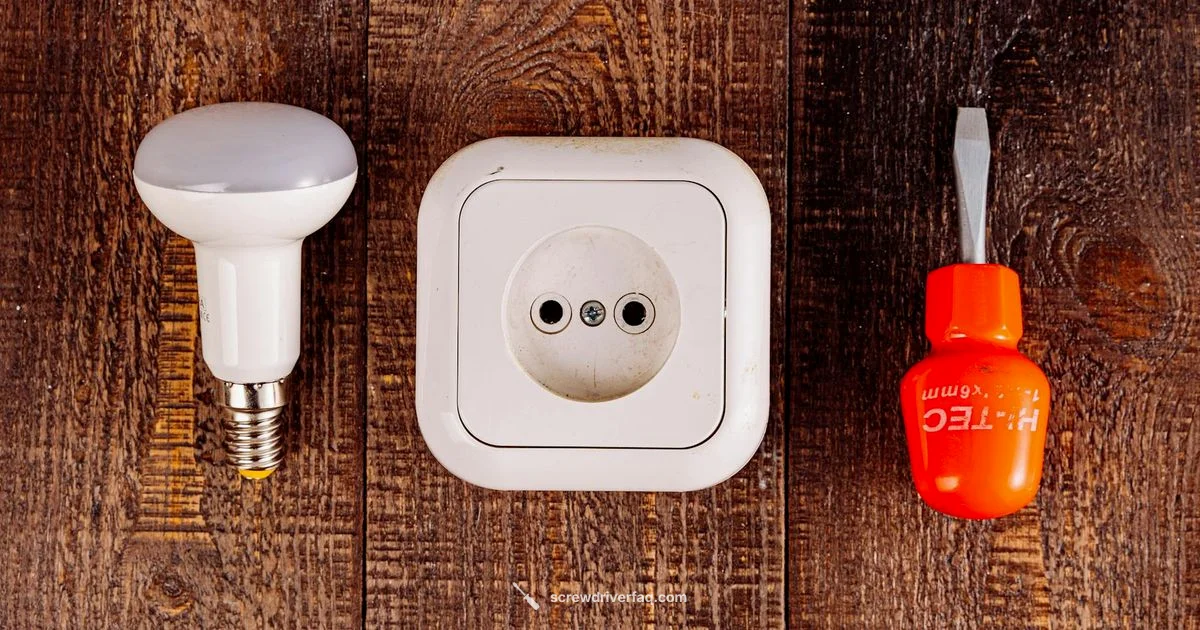 Lifegoo Mini Screwdriver - Screwdriver FAQ