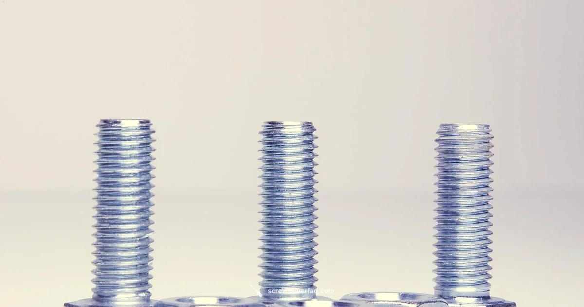 Screw Head Types - Screwdriver FAQ