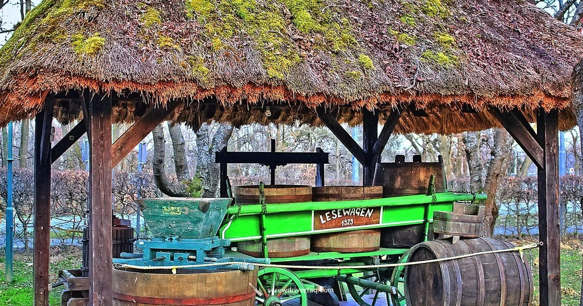 Dewalt DW272 - Screwdriver FAQ