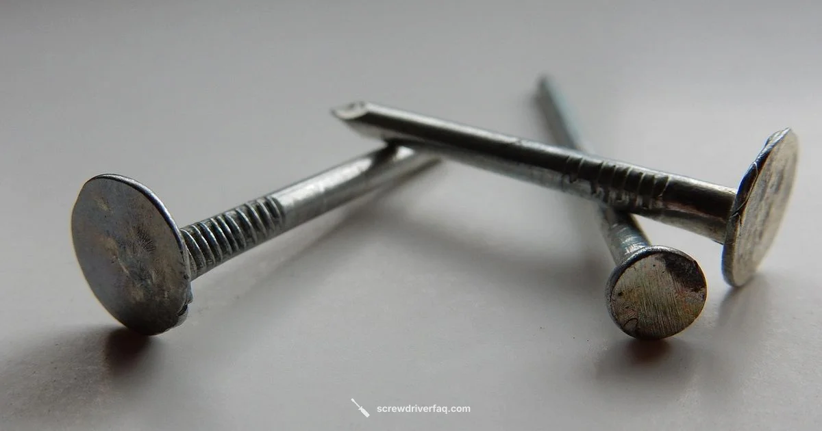 Screwdriver Essentials - Screwdriver FAQ