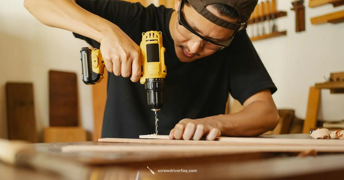 Worx wx240l Overview - Screwdriver FAQ