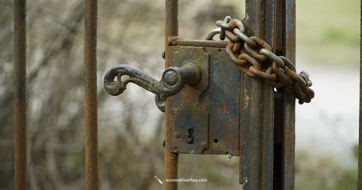 Plastic Handle Explained Plastic Handle Explained - Screwdriver FAQ