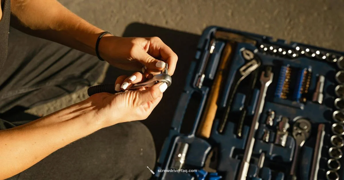 Master Torx Drivers - Screwdriver FAQ