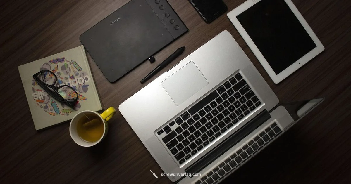 River Song Variant - Screwdriver FAQ