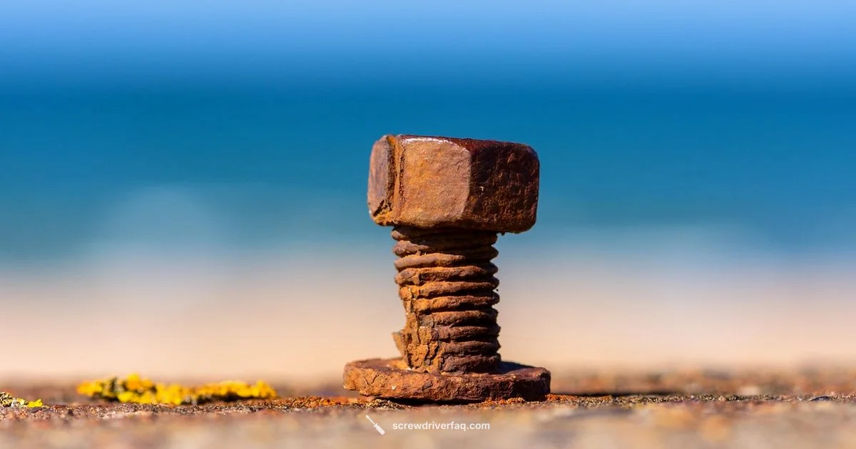 Hex Bit Basics - Screwdriver FAQ