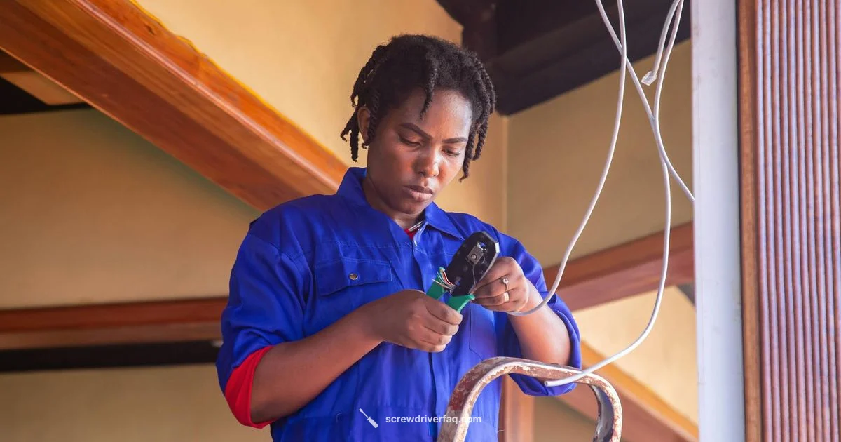 Torque Screwdriver Guide Torque Screwdriver Guide - Screwdriver FAQ