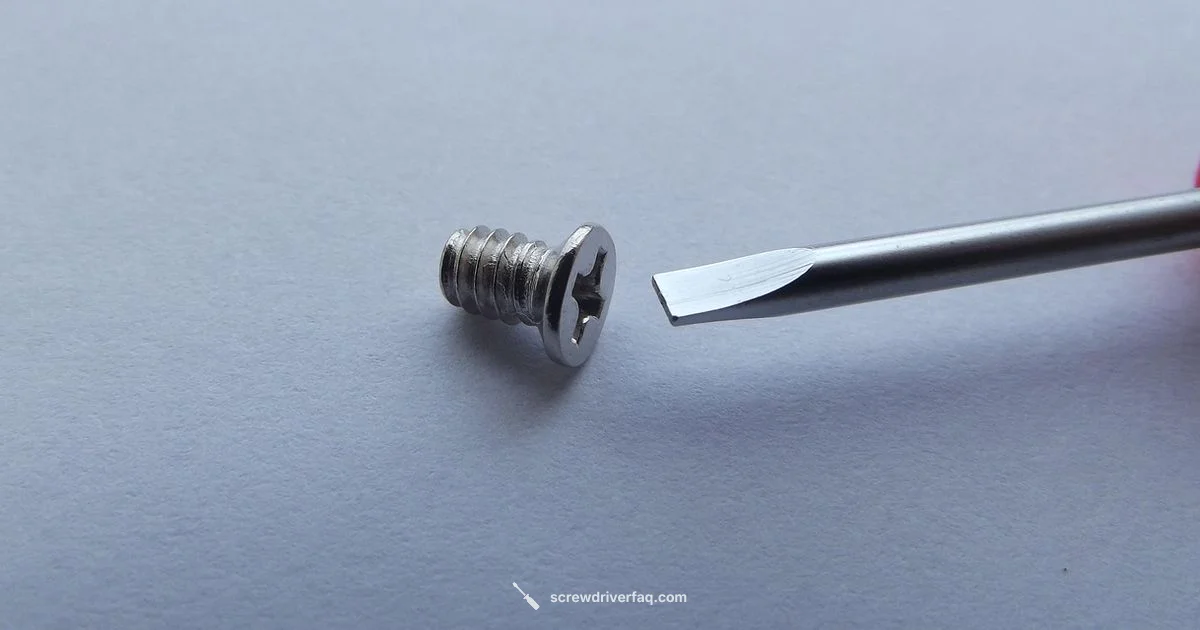 Screwdriver in Action - Screwdriver FAQ