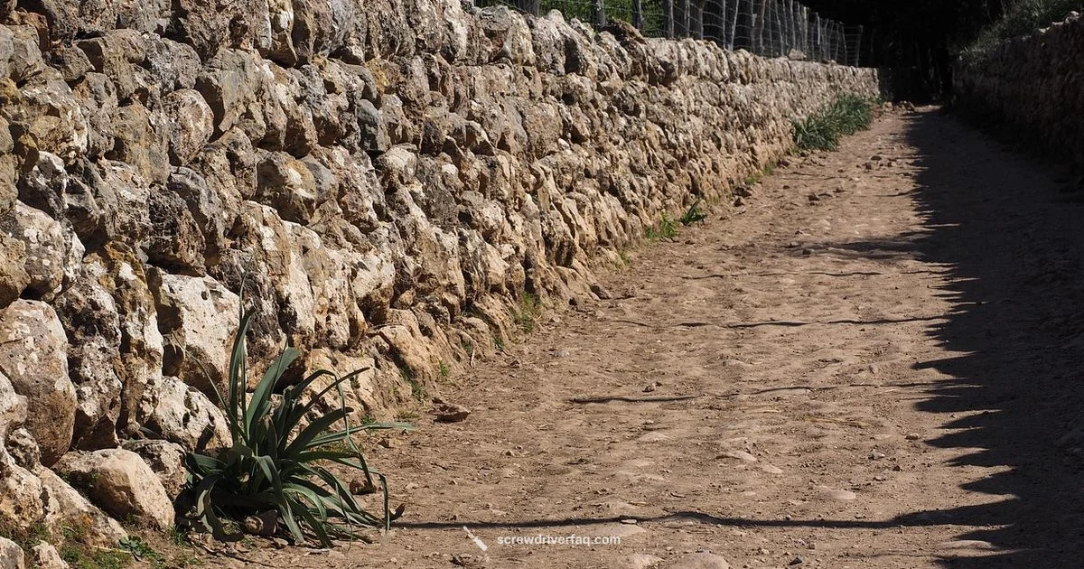 Drywall Driver Guide - Screwdriver FAQ