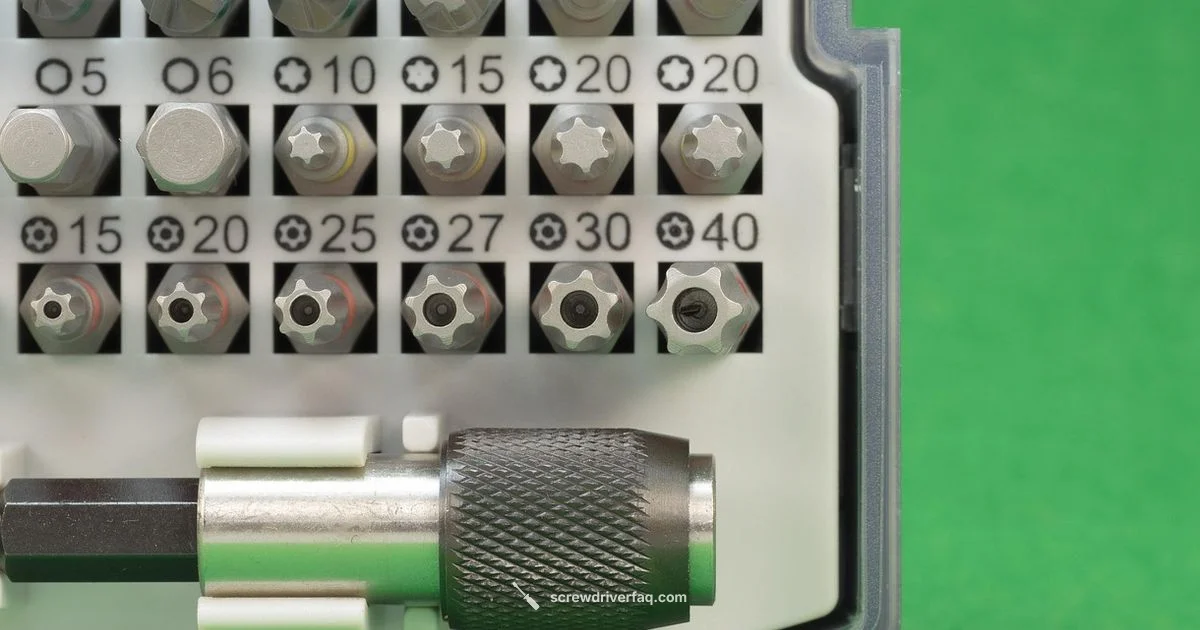 Screwdriver Basics for DIY - Screwdriver FAQ