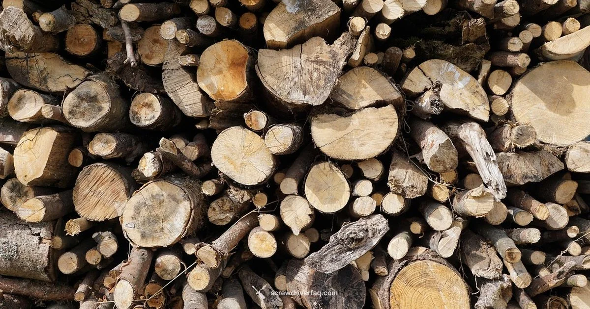 Screwdriver Materials - Screwdriver FAQ