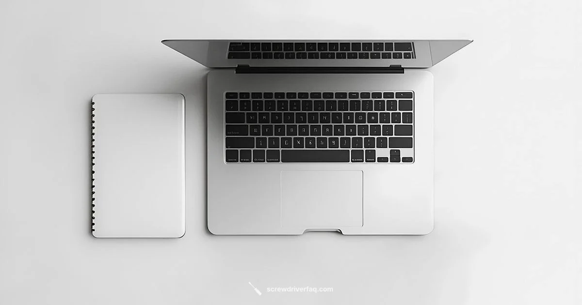 PlayStation Tool Guide PlayStation Tool Guide - Screwdriver FAQ