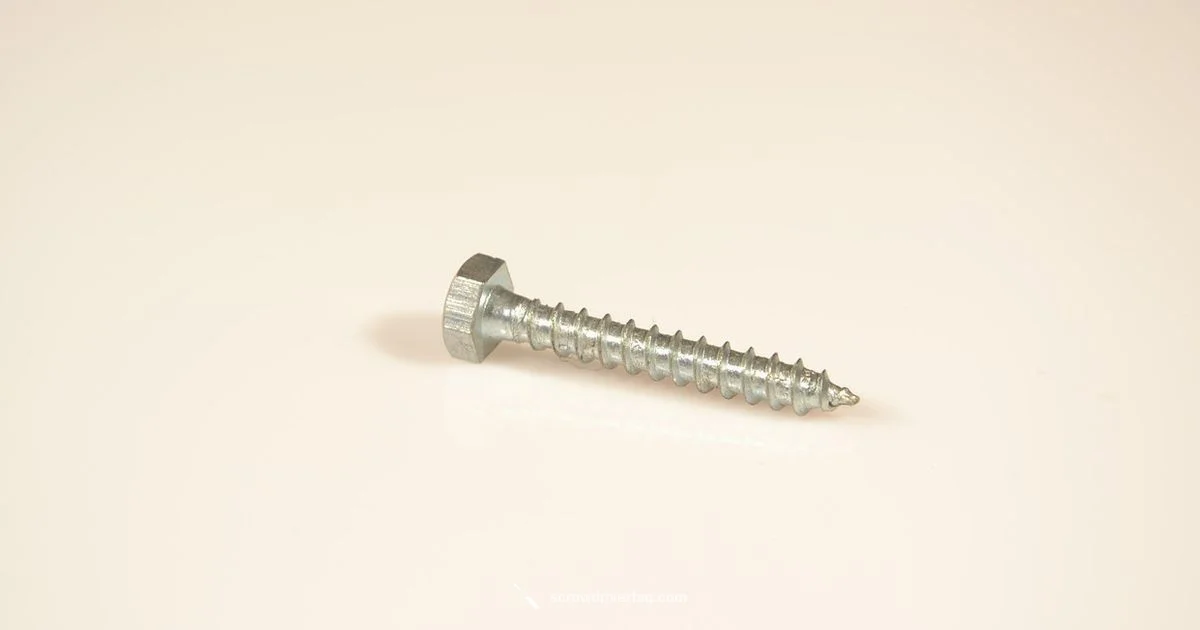 Screwdriver Essentials Guide Screwdriver Essentials Guide - Screwdriver FAQ