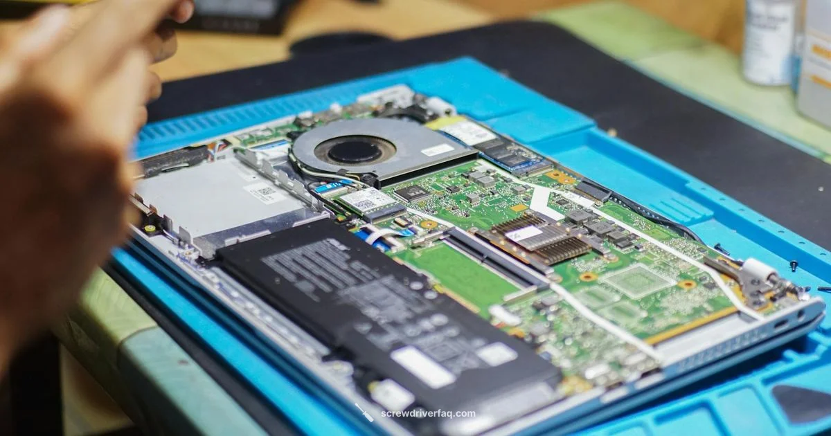 T8 PS5 Guide - Screwdriver FAQ