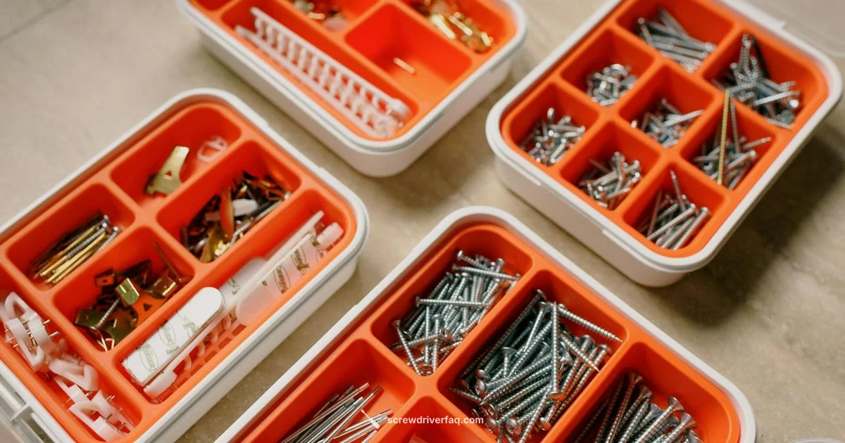 Allen Key Bits Guide - Screwdriver FAQ