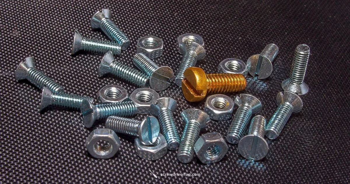 Vinegar Cleaning Guide - Screwdriver FAQ