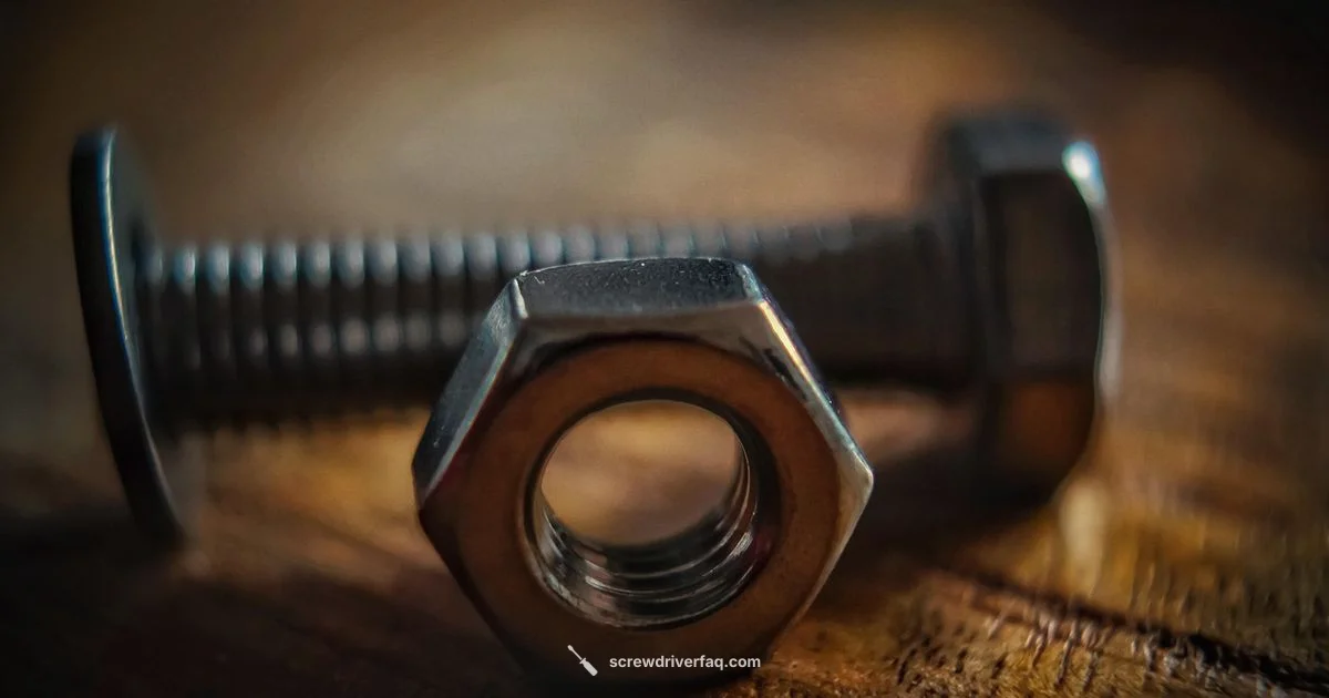T30 Torx Guide - Screwdriver FAQ