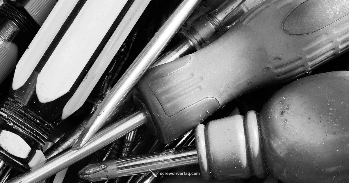 Torx Screwdrivers - Screwdriver FAQ