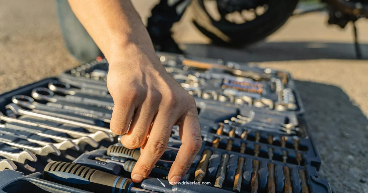 No 2 Phillips Guide - Screwdriver FAQ