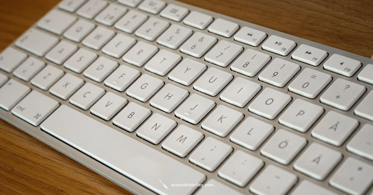 Keyboard Screwdriver Basics - Screwdriver FAQ