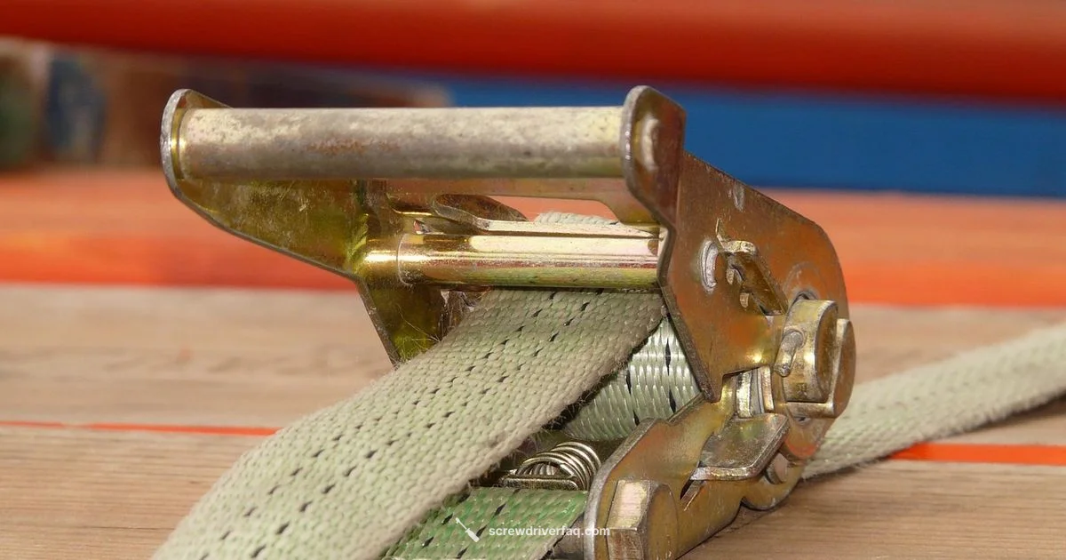 Best Ratchet Sets - Screwdriver FAQ