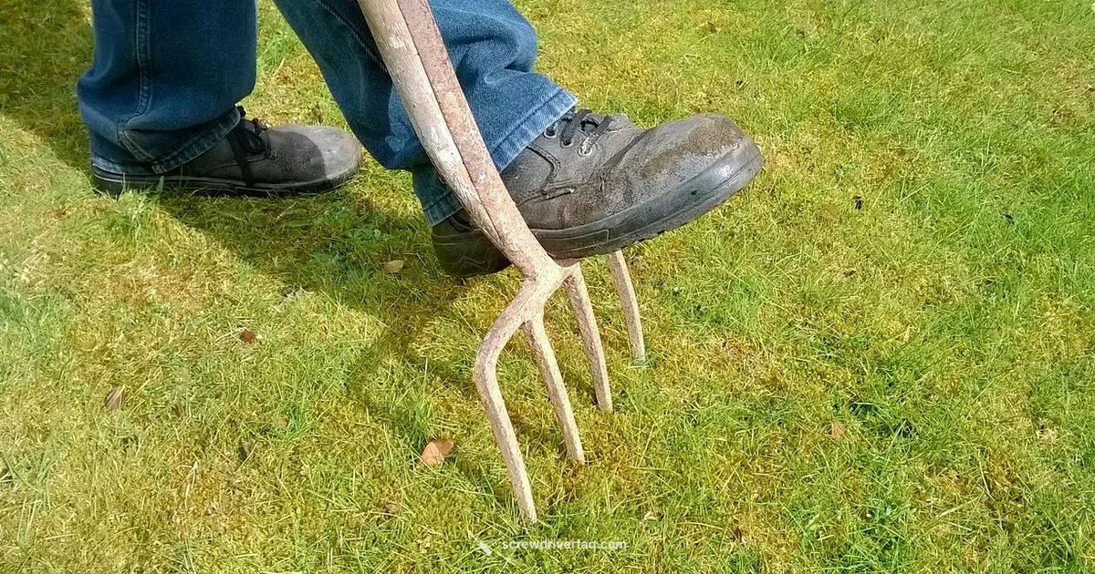 Screwdriver Test Lawn - Screwdriver FAQ