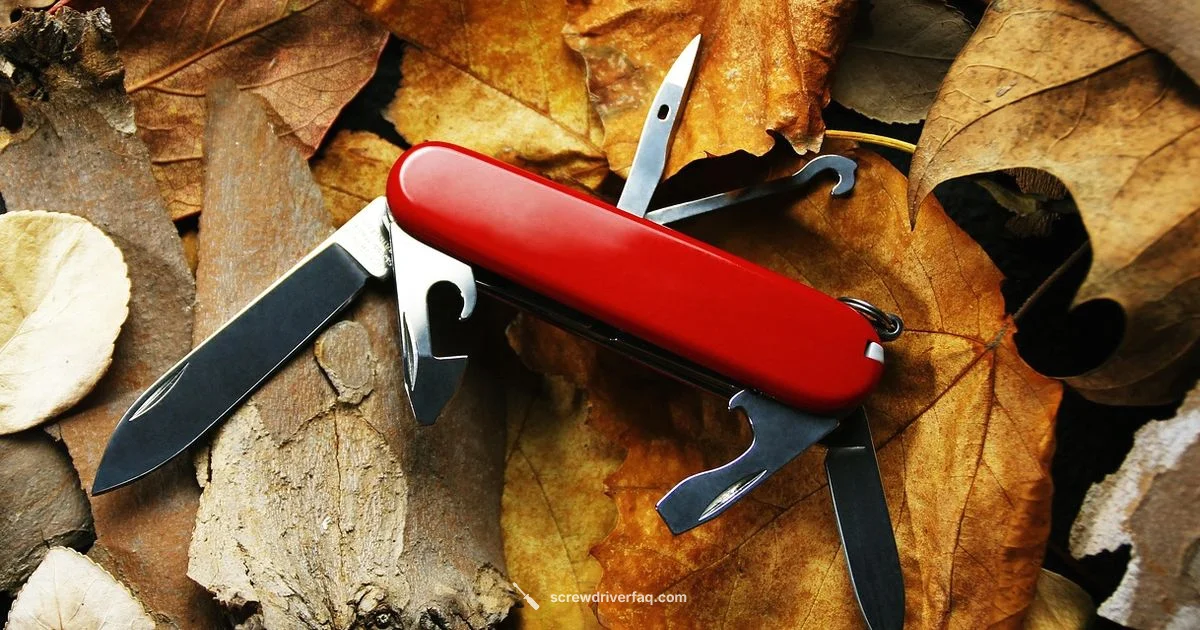 Screwdriver Retrieval Screwdriver Retrieval - Screwdriver FAQ