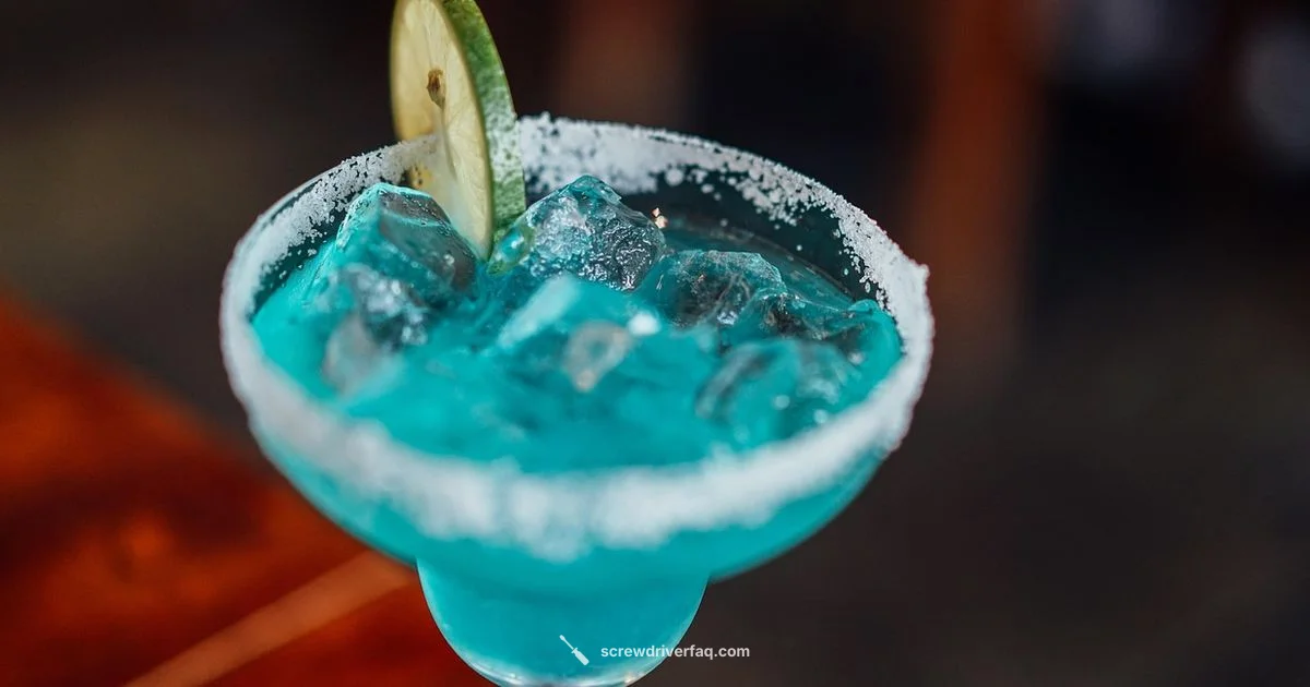 Screwdriver Cocktail Basics - Screwdriver FAQ