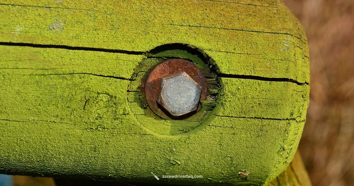 Hex vs Allen Guide - Screwdriver FAQ