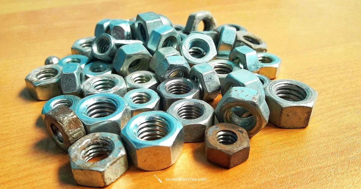 T20 Torx Guide - Screwdriver FAQ