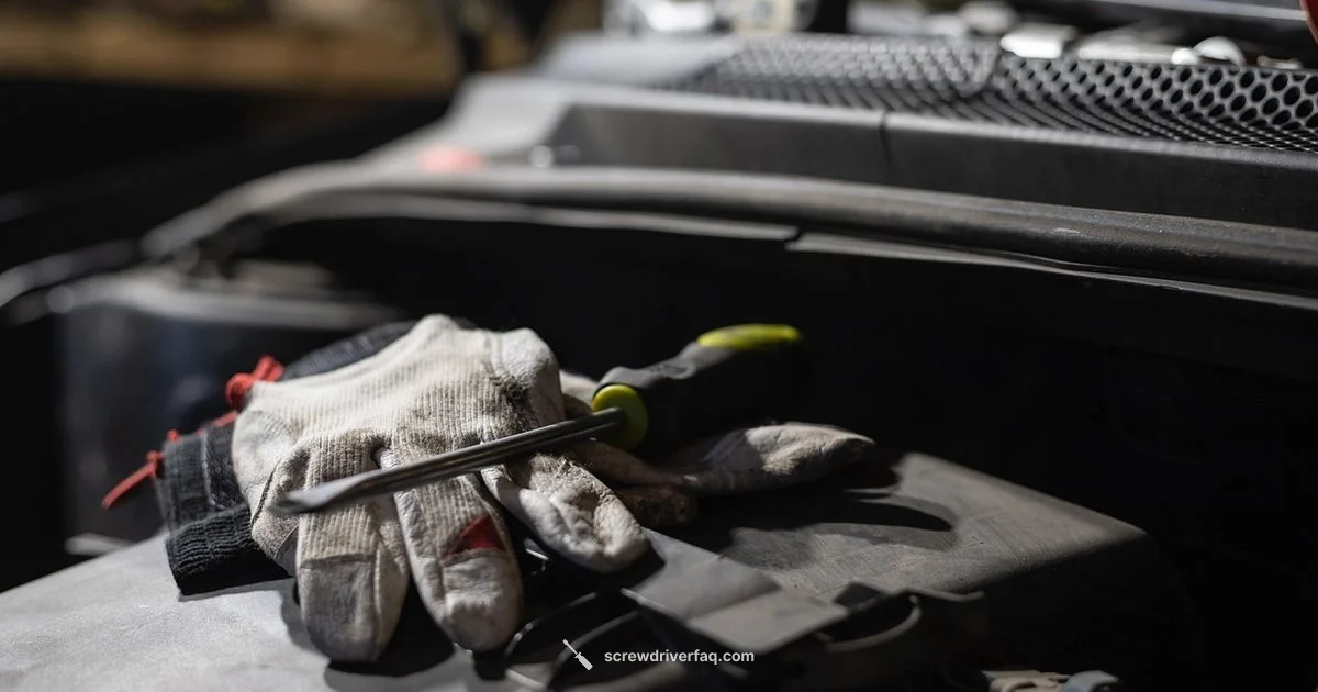 Ratcheting Review - Screwdriver FAQ