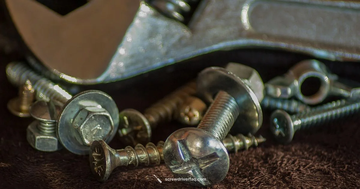 Screw Gripper Guide - Screwdriver FAQ