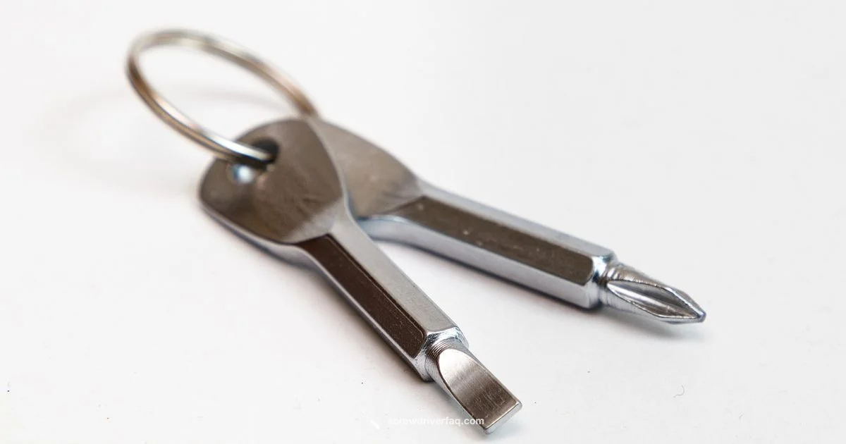 TSA Screwdriver Rules - Screwdriver FAQ
