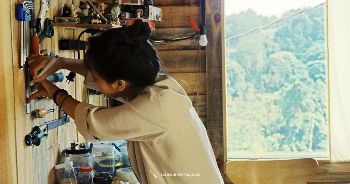 Phillips Substitutes - Screwdriver FAQ