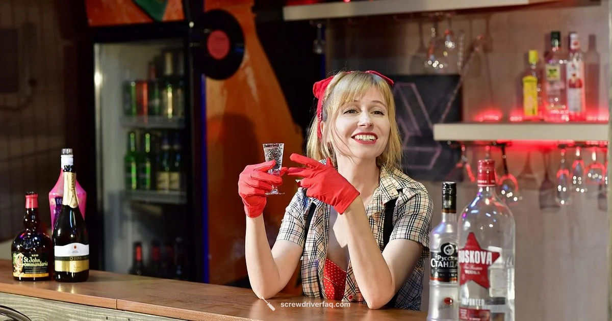 Vodka Screwdriver Guide - Screwdriver FAQ