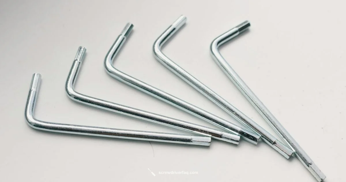 Hex Bit Set Guide - Screwdriver FAQ