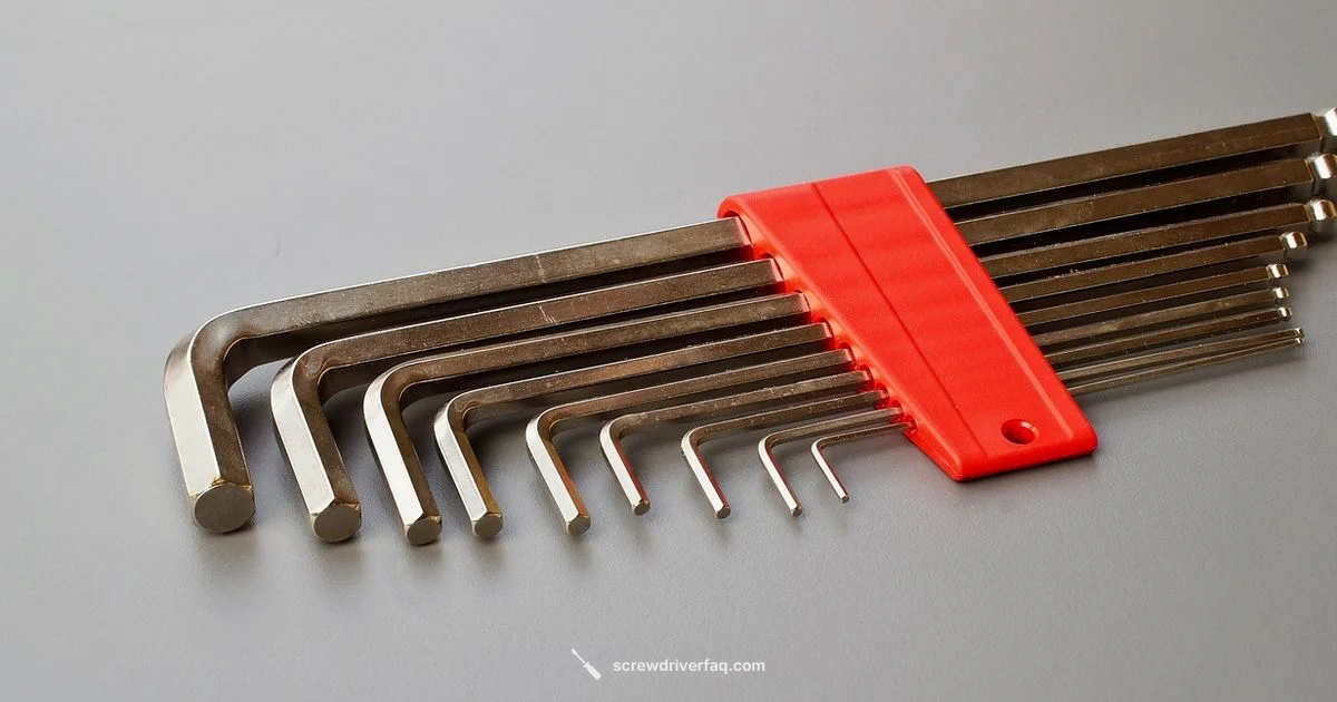 Screwdriver vs Allen Key Screwdriver vs Allen Key - Screwdriver FAQ