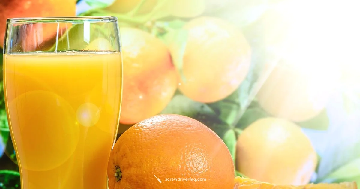 Screwdriver Cocktail Basics - Screwdriver FAQ