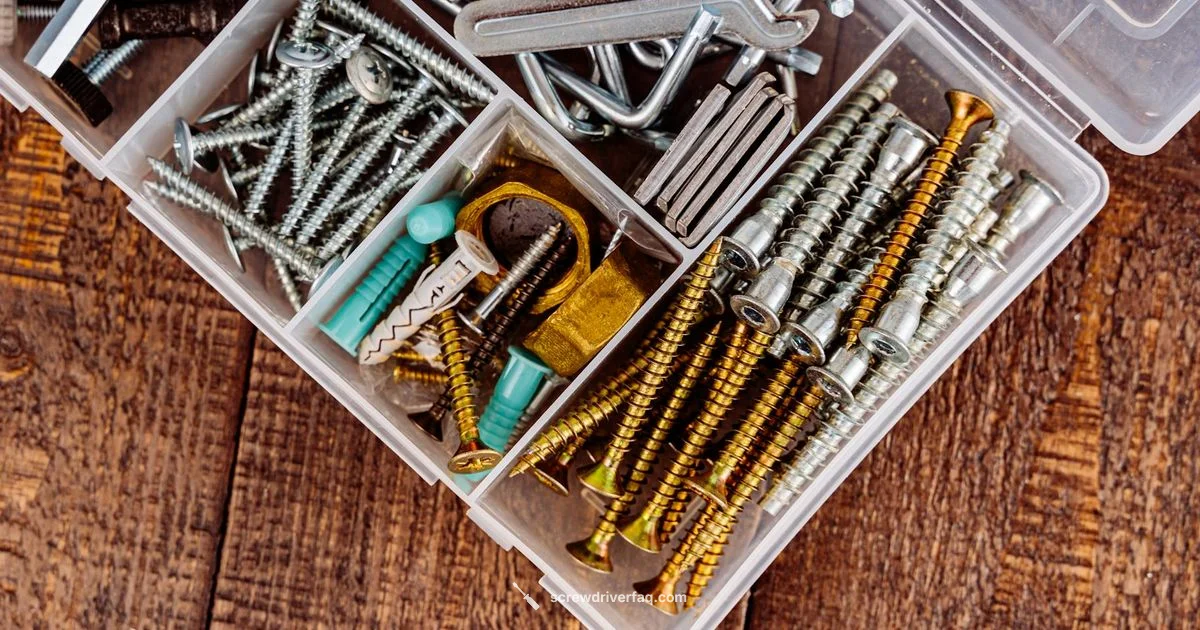 Screwdriver Location Screwdriver Location - Screwdriver FAQ